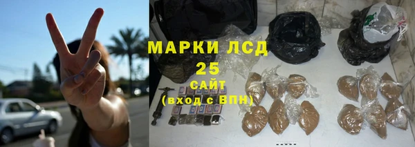 сатива Зерноград