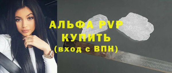 сатива Зерноград