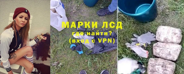 сатива Зерноград