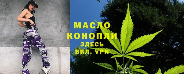 сатива Зерноград
