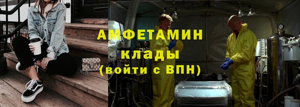 сатива Зерноград